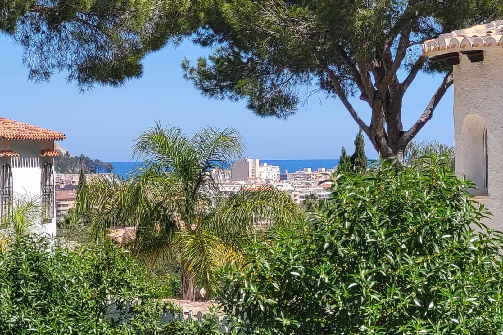 Vista panorámica de Denia desde la villa, con exuberante vegetación y el mar Mediterráneo al fondo.