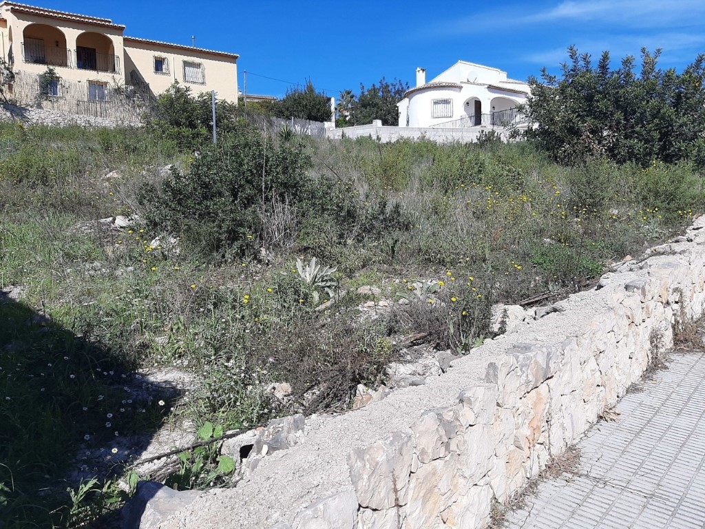 Parcela elevada con vegetación mediterránea autóctona y muro de piedra natural, situada en una zona residencial tranquila de Alcalalí con vistas despejadas.