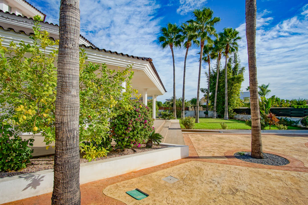 Exterior de la villa colonial con jardín maduro, destacando palmeras altas, un limonero frutal y un camino de hormigón impreso que rodea la propiedad.