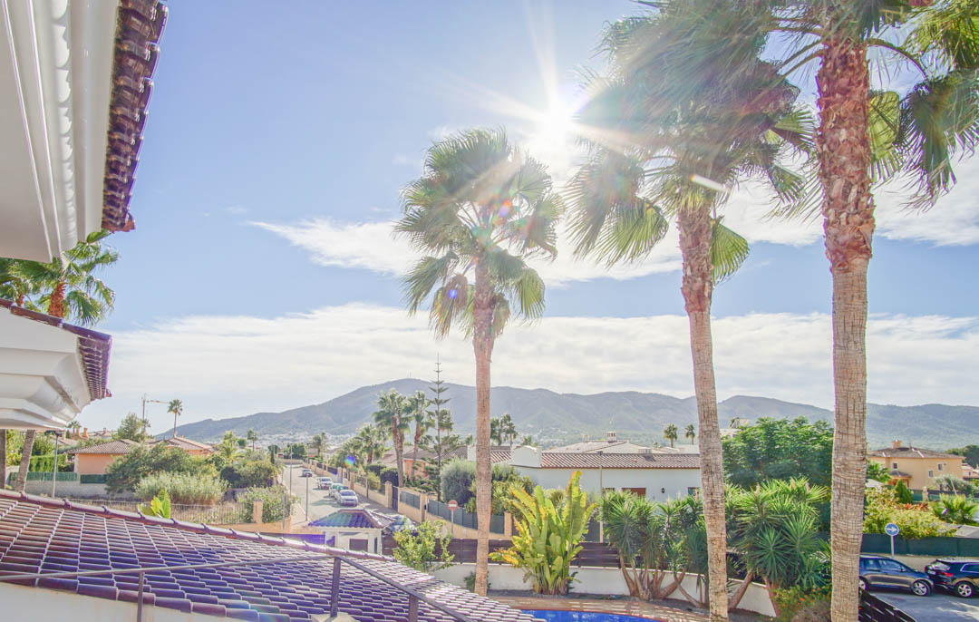 Vista desde la terraza superior que destaca las palmeras maduras del jardín, el entorno residencial tranquilo y las vistas despejadas a las montañas.