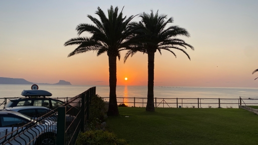 Vista panorámica del atardecer sobre el mar Mediterráneo desde el jardín, con siluetas de palmeras maduras y la costa de Calpe al fondo.