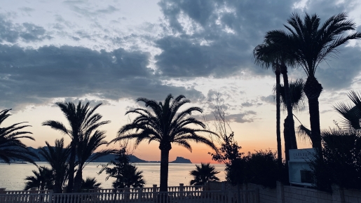 Vistas panorámicas al mar Mediterráneo al atardecer desde la propiedad, destacando las siluetas de las palmeras maduras y la costa montañosa bajo un cielo crepuscular.