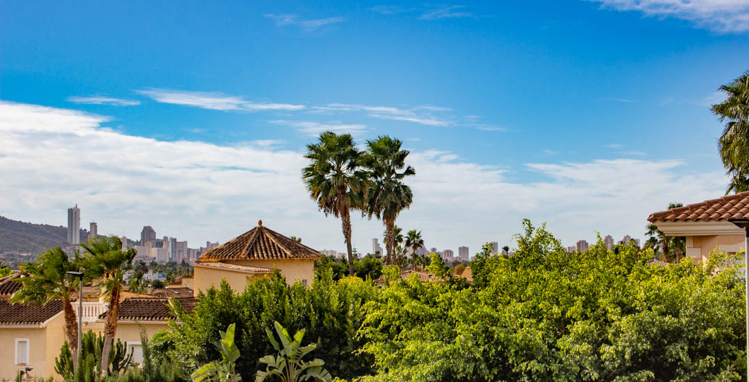 Vistas panorámicas desde la propiedad hacia el skyline de la ciudad, rodeadas de vegetación madura, palmeras y tejados de estilo mediterráneo bajo un cielo despejado.