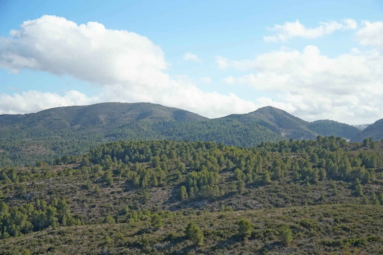 Vistas panorámicas a las montañas circundantes de Pedreguer, destacando la densa vegetación de pinos mediterráneos bajo un cielo despejado.