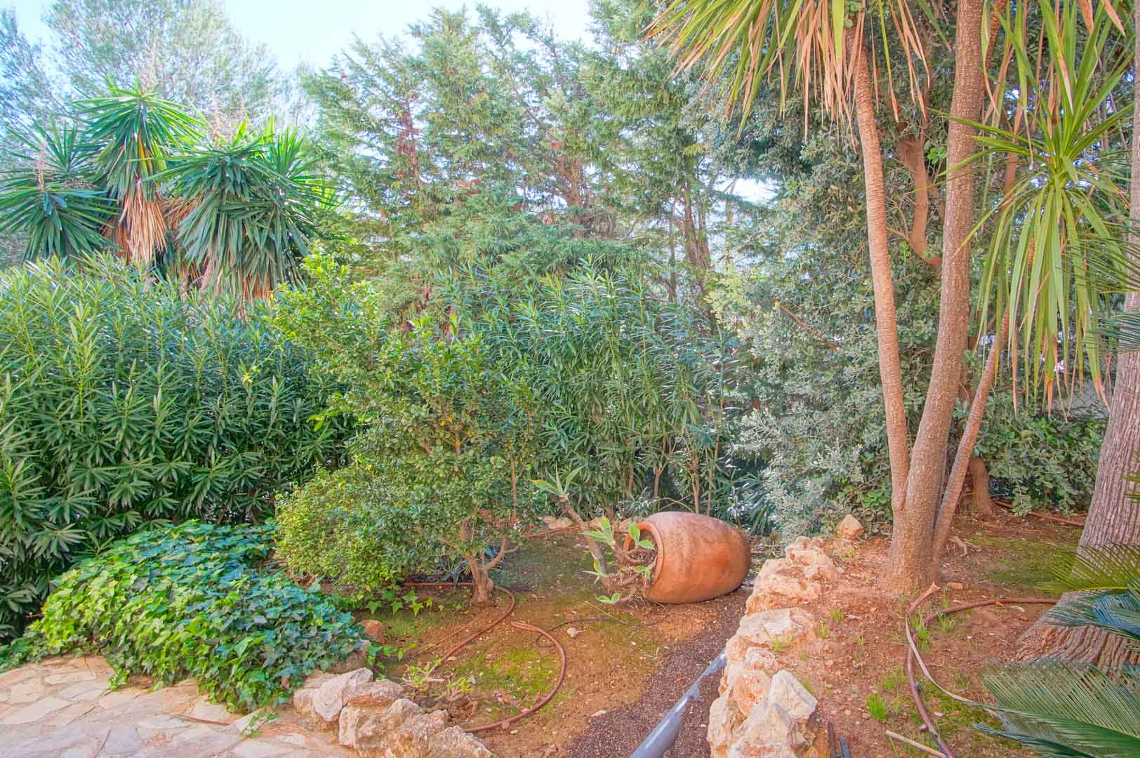 Jardín mediterráneo con vegetación consolidada, incluyendo palmeras y arbustos densos. Destaca una tinaja decorativa de barro junto a un borde de piedra natural.