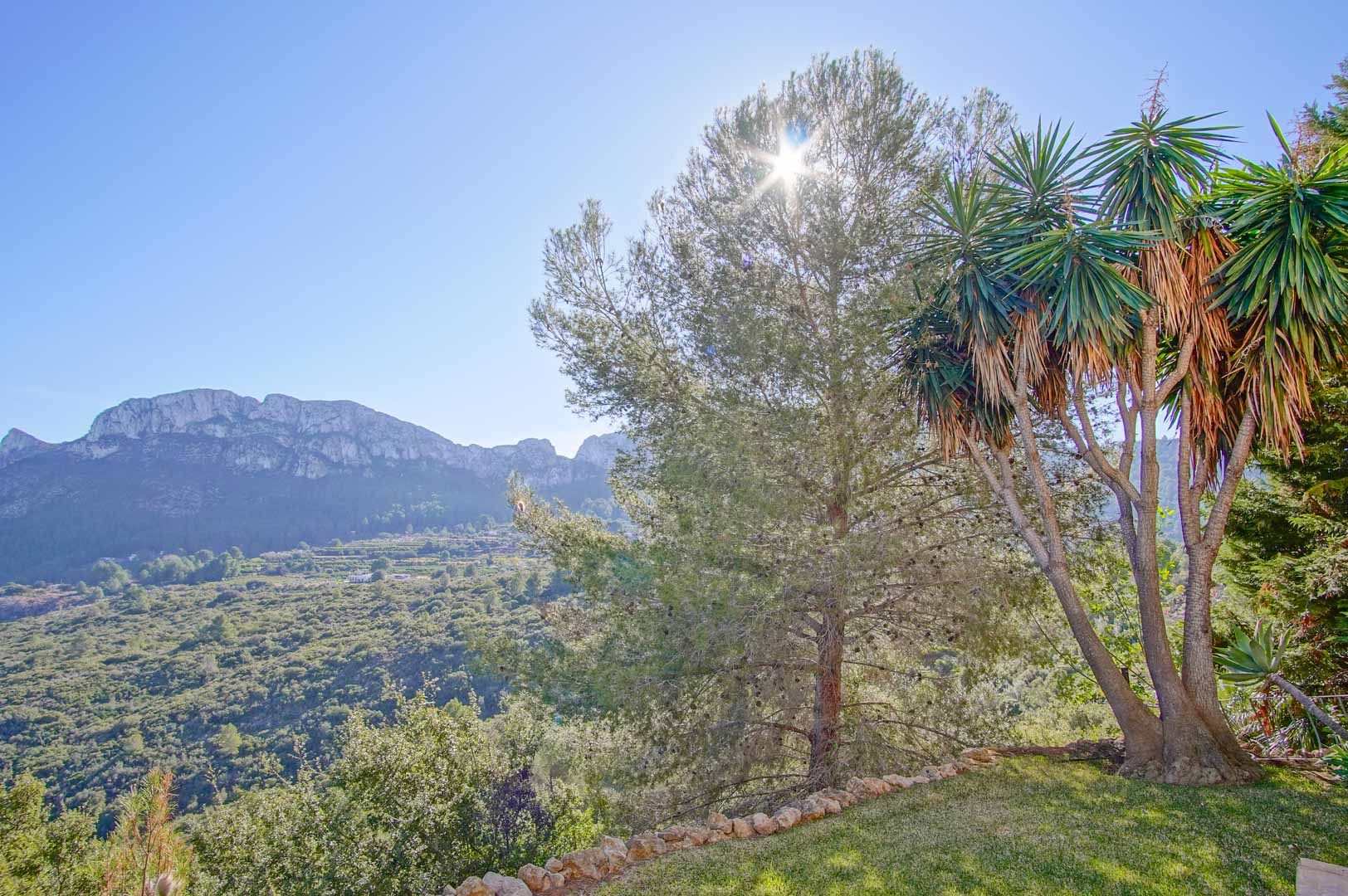 Vista panorámica desde el jardín hacia las montañas de Monte Pego, con pinos autóctonos y yucas bajo un cielo despejado y soleado.