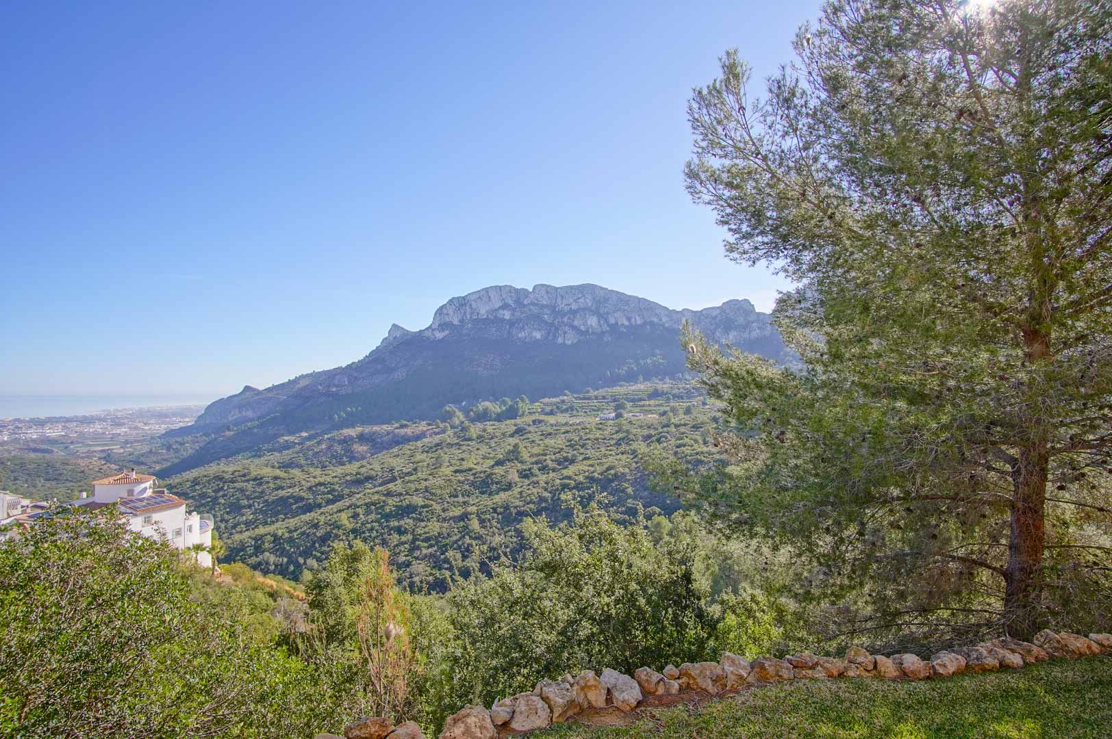 Vistas panorámicas a la cordillera y al valle desde el jardín, delimitado por un borde de piedra natural y pinos maduros bajo un cielo despejado.