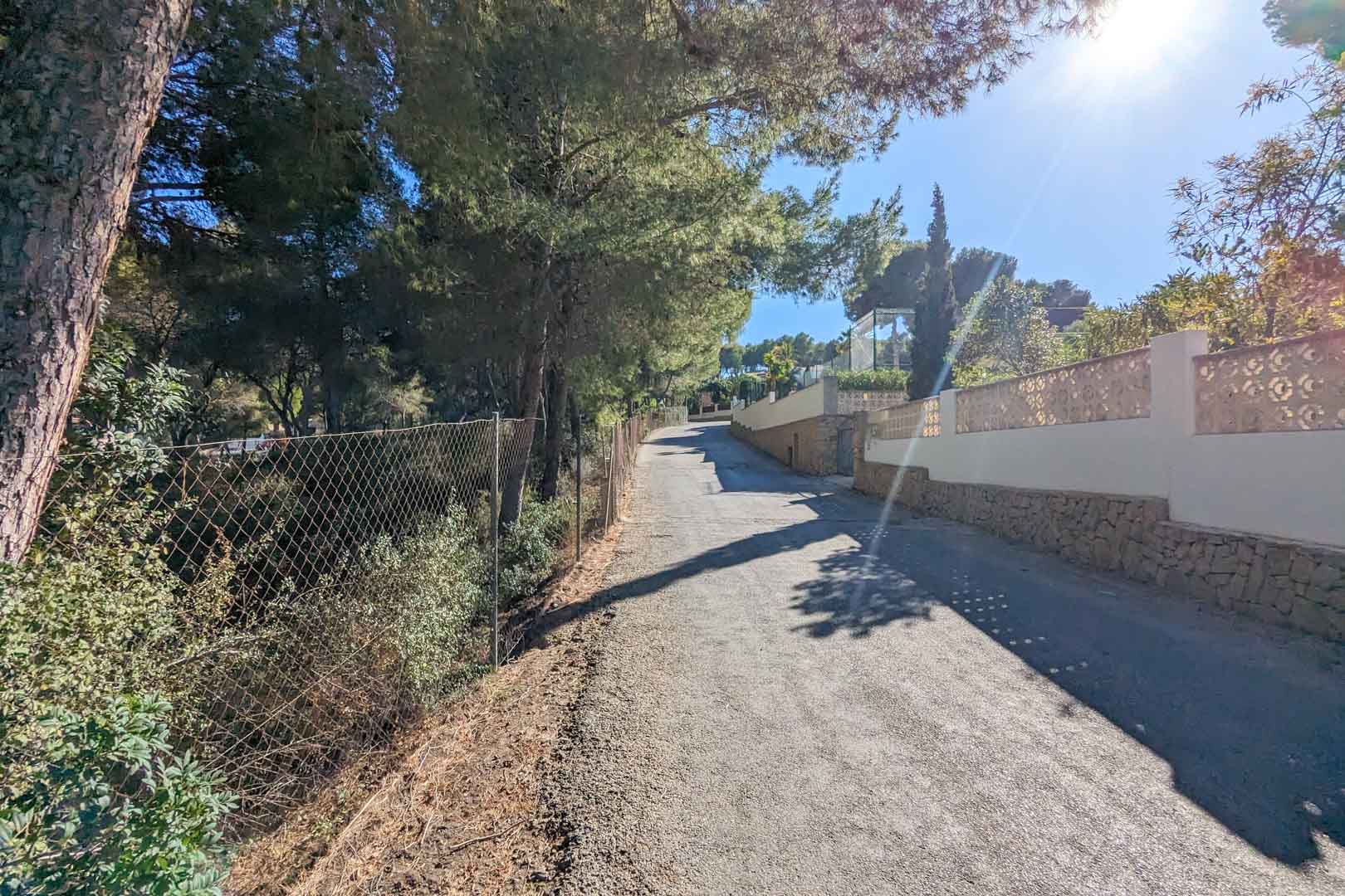 Camino de acceso asfaltado flanqueado por pinos maduros y un muro perimetral de piedra natural con celosía decorativa en la zona de l'Andragó.
