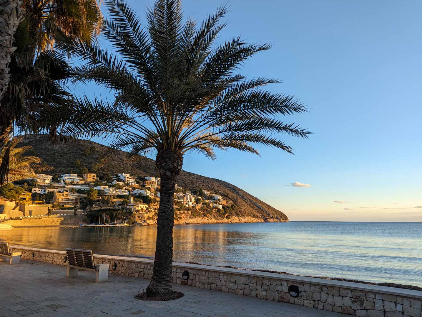 Paseo marítimo empedrado en Moraira con palmeras y bancos de madera, ofreciendo vistas despejadas al mar y a la costa residencial iluminada por el atardecer.