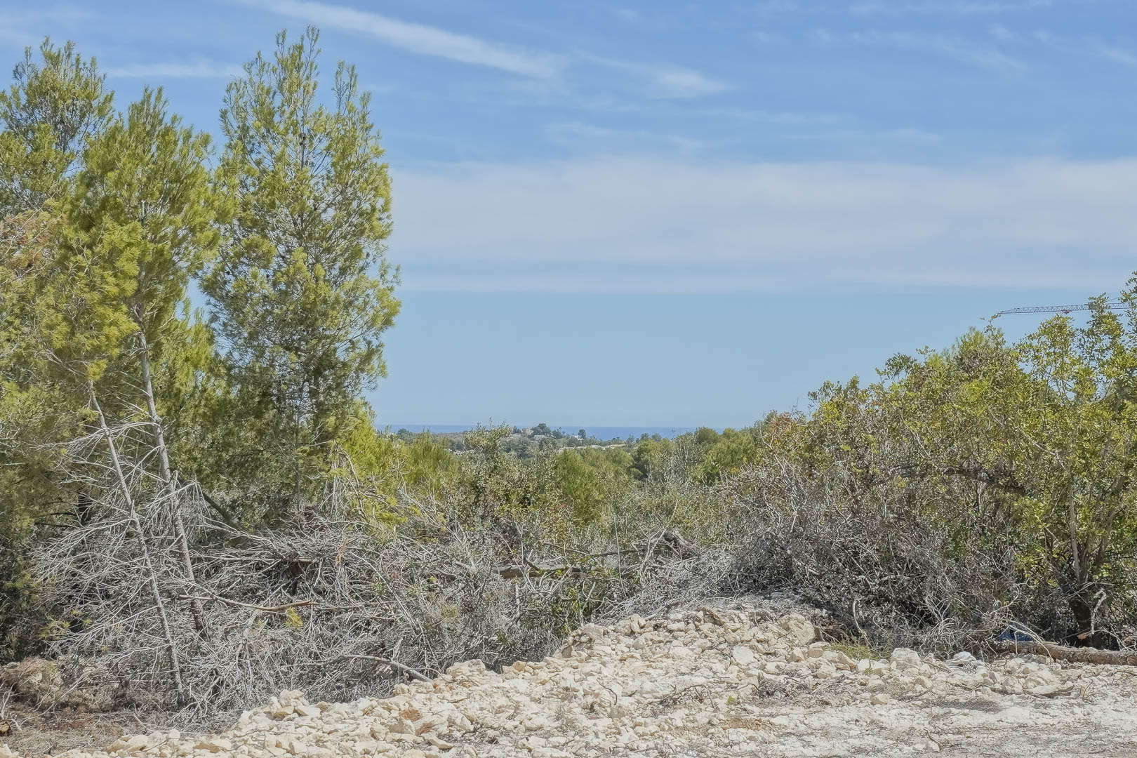 Vistas panorámicas desde la parcela elevada hacia el mar Mediterráneo, rodeada de pinos autóctonos y vegetación natural bajo un cielo despejado.