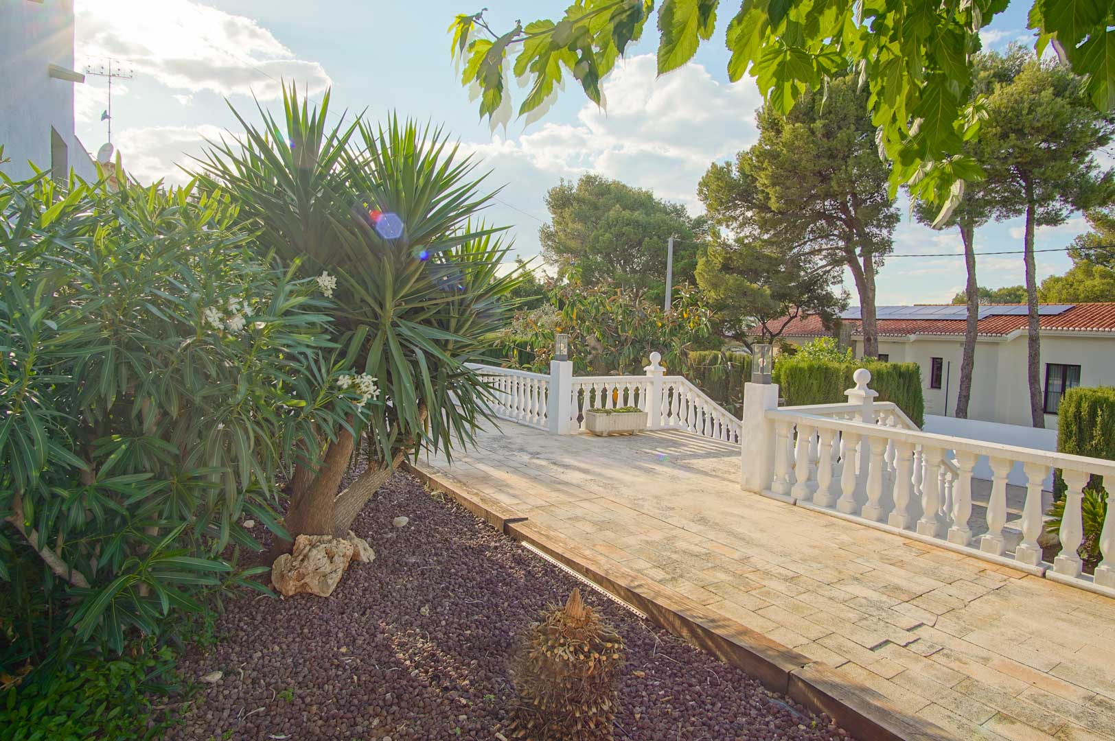Terraza exterior con balaustrada blanca y suelos de piedra, rodeada de vegetación mediterránea y pinos maduros bajo la luz natural del día.