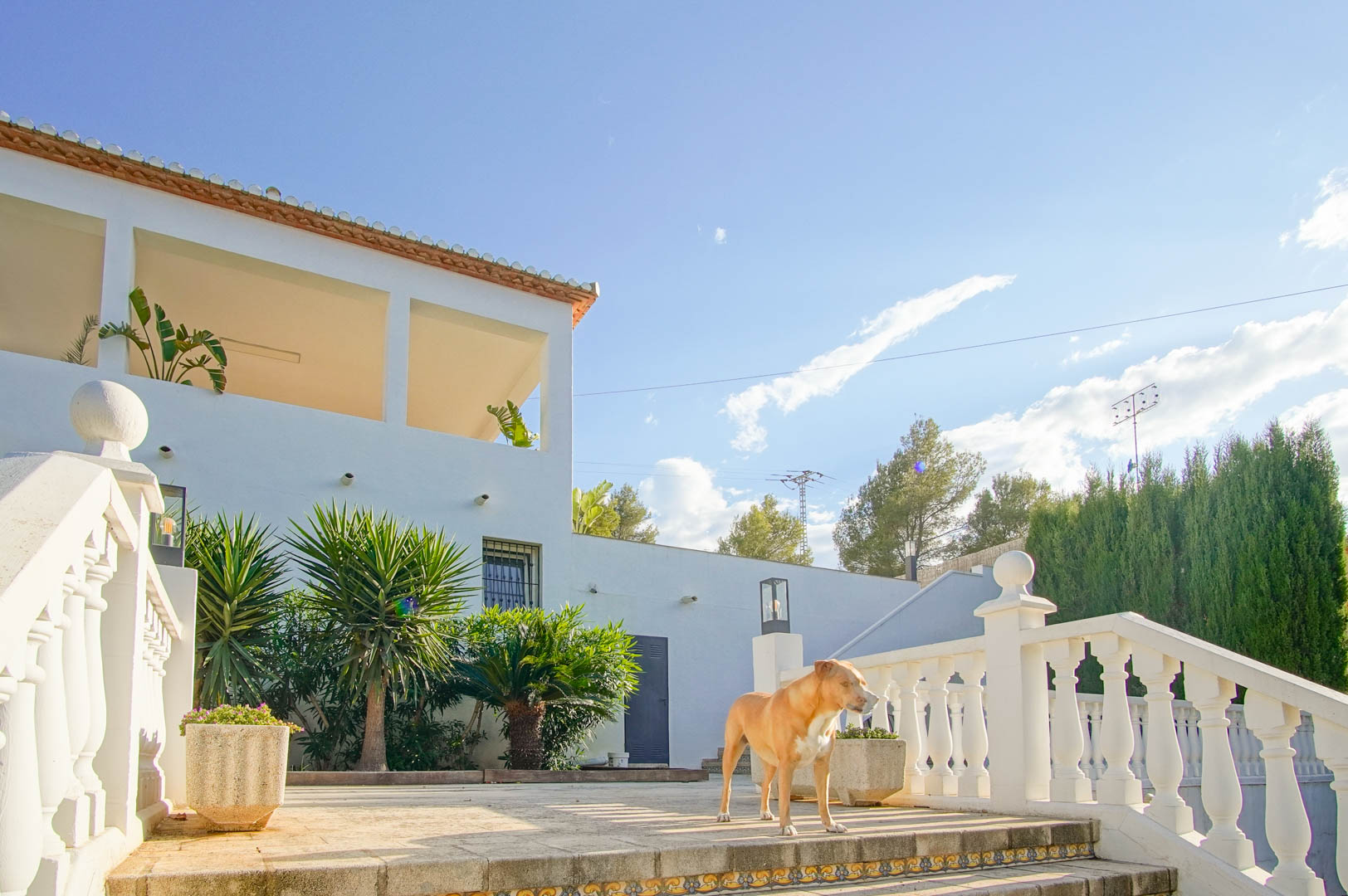 Vista exterior de la villa con balaustradas blancas, terraza de piedra y vegetación mediterránea que incluye yucas y palmeras bajo el sol de Dénia.