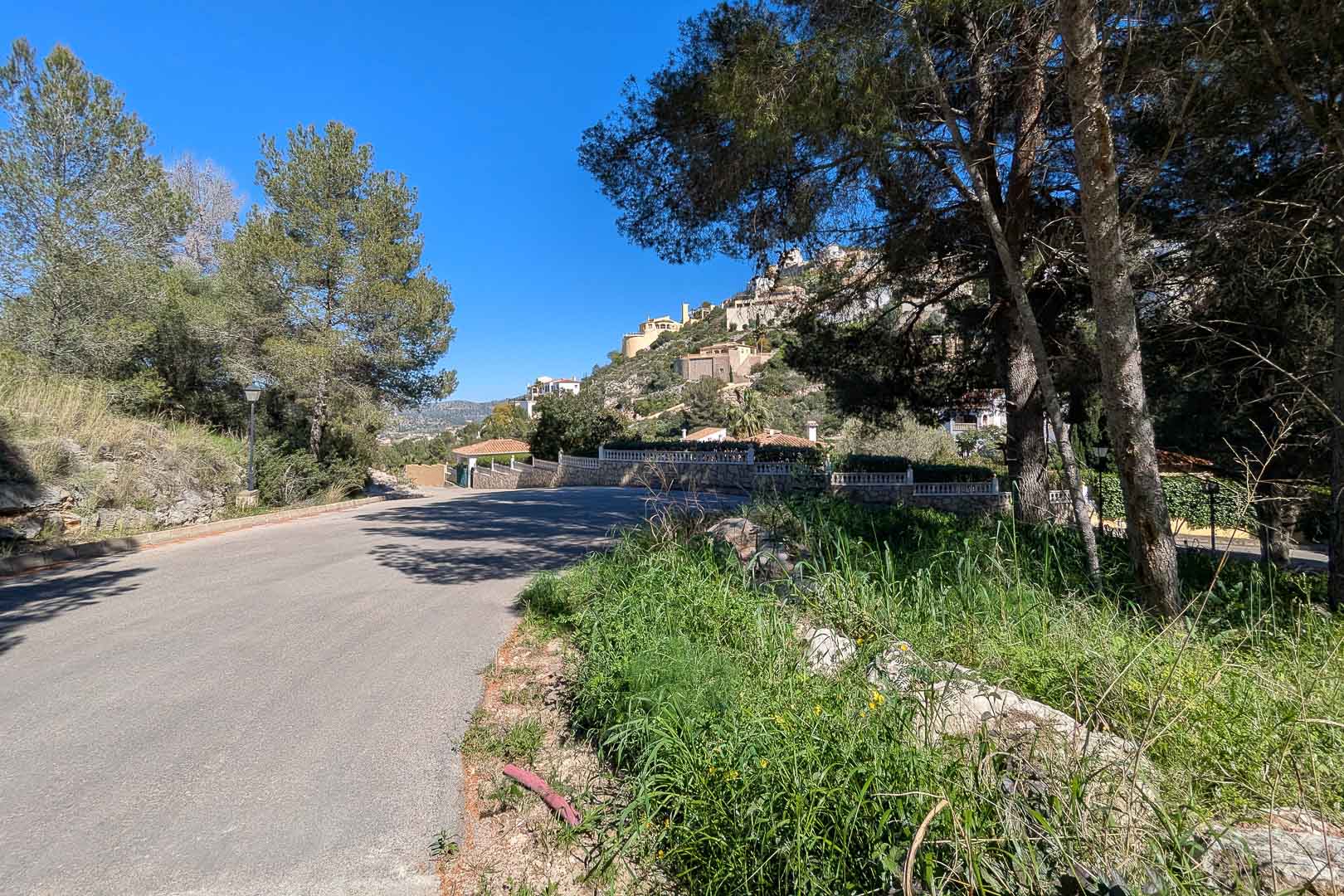 Vista del acceso por carretera en la urbanización Monte Solana, rodeada de pinos y vegetación mediterránea bajo un cielo despejado.