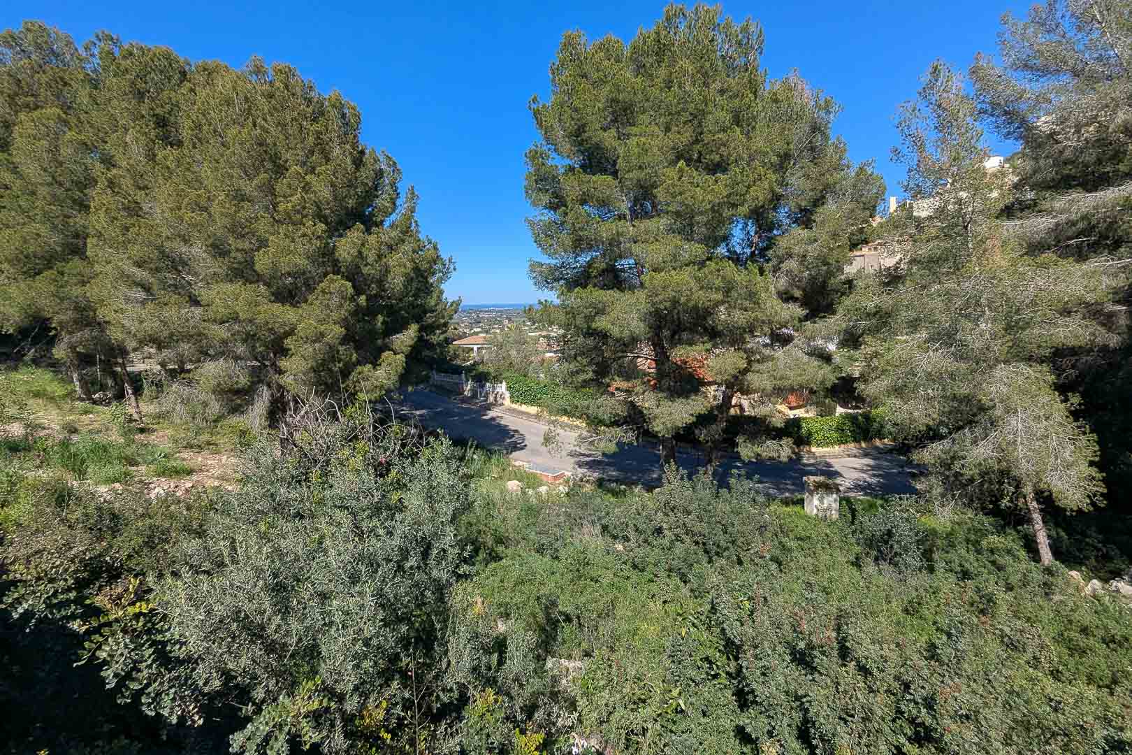 Vista elevada desde la parcela que muestra el entorno natural arbolado, la calle de acceso y una panorámica del valle con el mar en el horizonte.