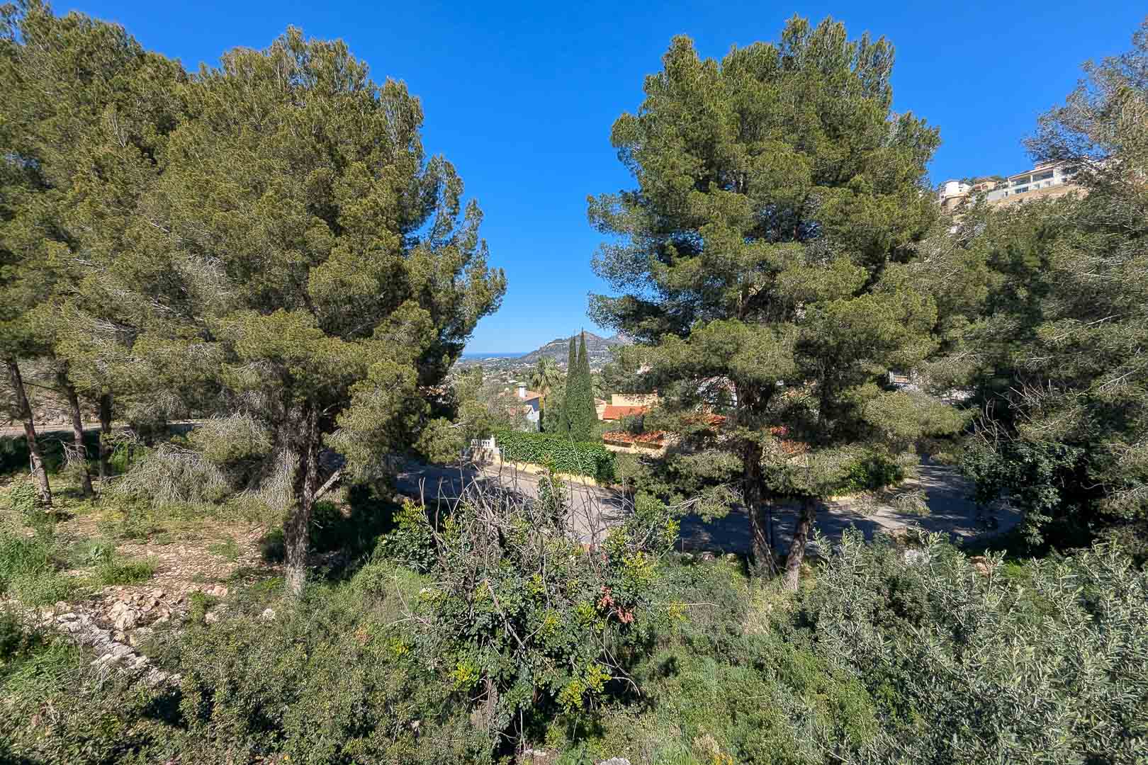 Vistas panorámicas desde la parcela en Monte Solana, rodeada de pinos maduros y vegetación mediterránea con el valle y las montañas al fondo.