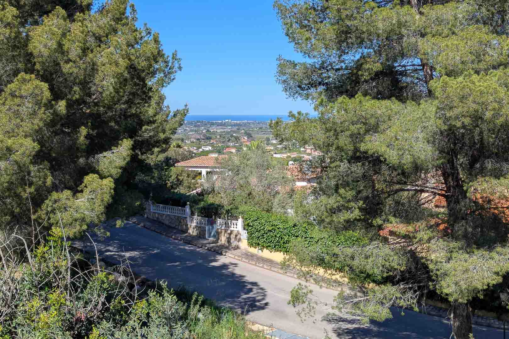 Vistas panorámicas hacia la costa desde Monte Solana, enmarcadas por pinos maduros, mostrando el entorno residencial y el mar Mediterráneo al fondo.