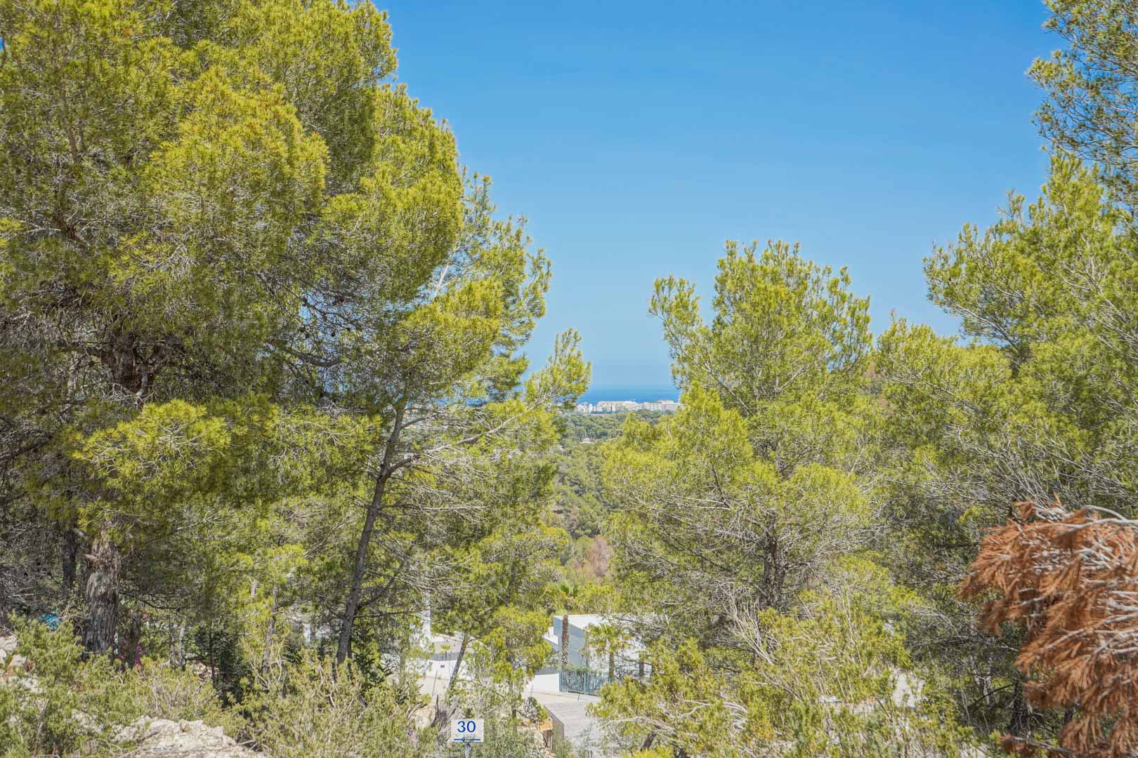 Vista elevada desde la parcela entre pinos mediterráneos, mostrando la pendiente del terreno y una panorámica lejana del mar bajo un cielo despejado.