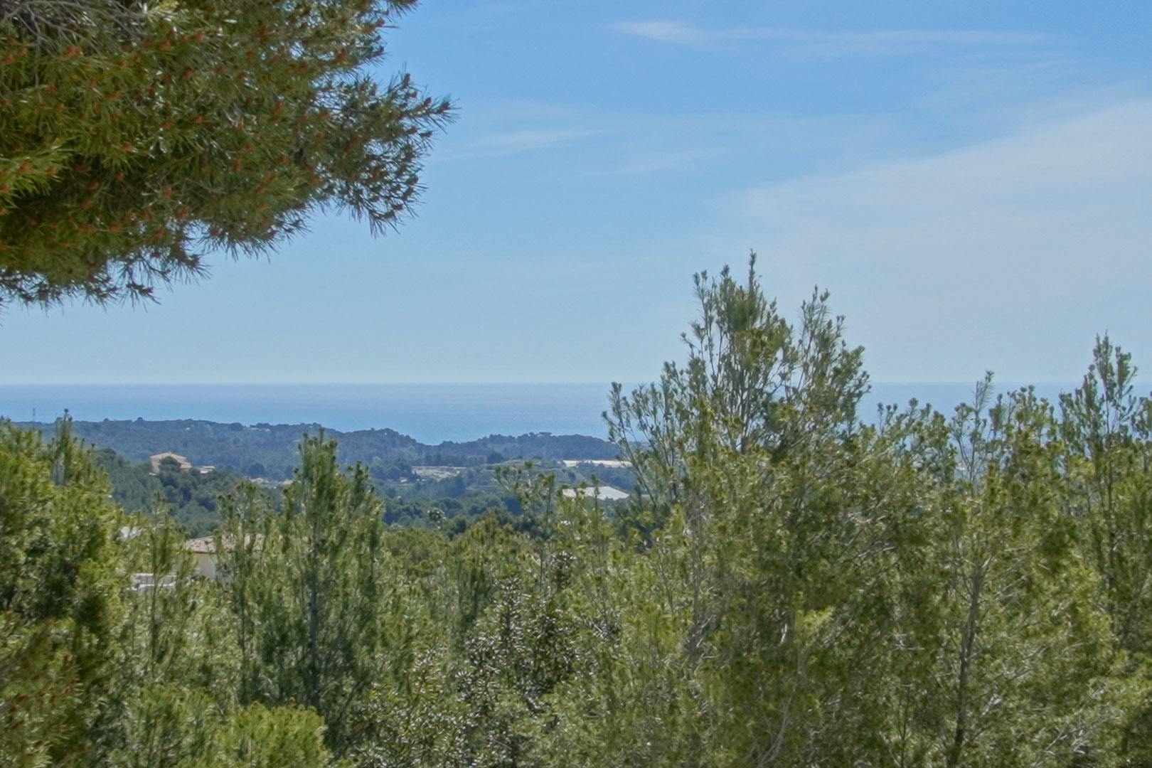 Vistas despejadas al mar Mediterráneo y al entorno natural circundante, enmarcadas por la frondosa vegetación de pinos característica de la zona de Altea.
