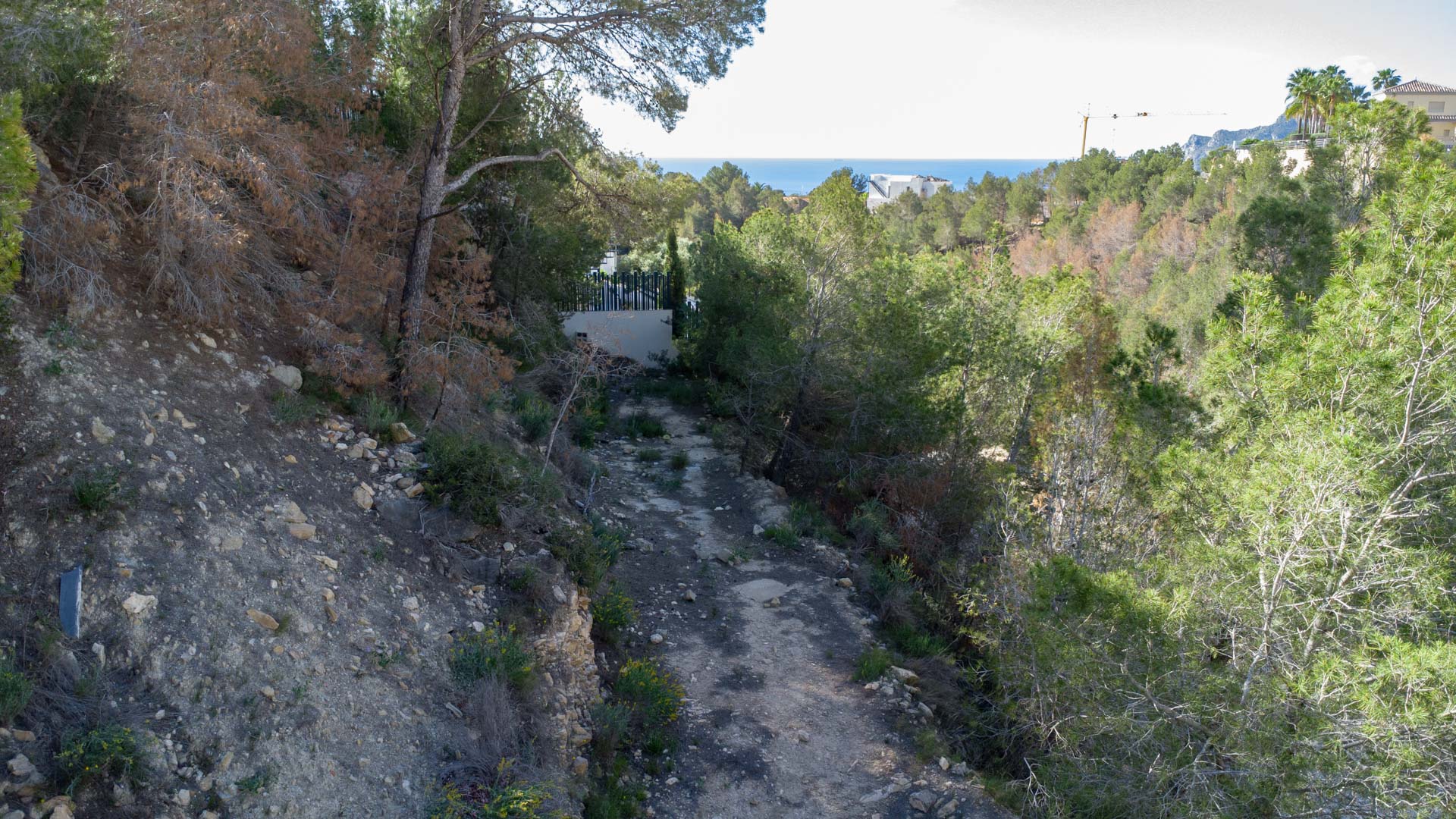 Vista de la parcela elevada en Raco de Galeno, mostrando el terreno natural con pinos y vistas despejadas hacia el mar Mediterráneo en el horizonte.