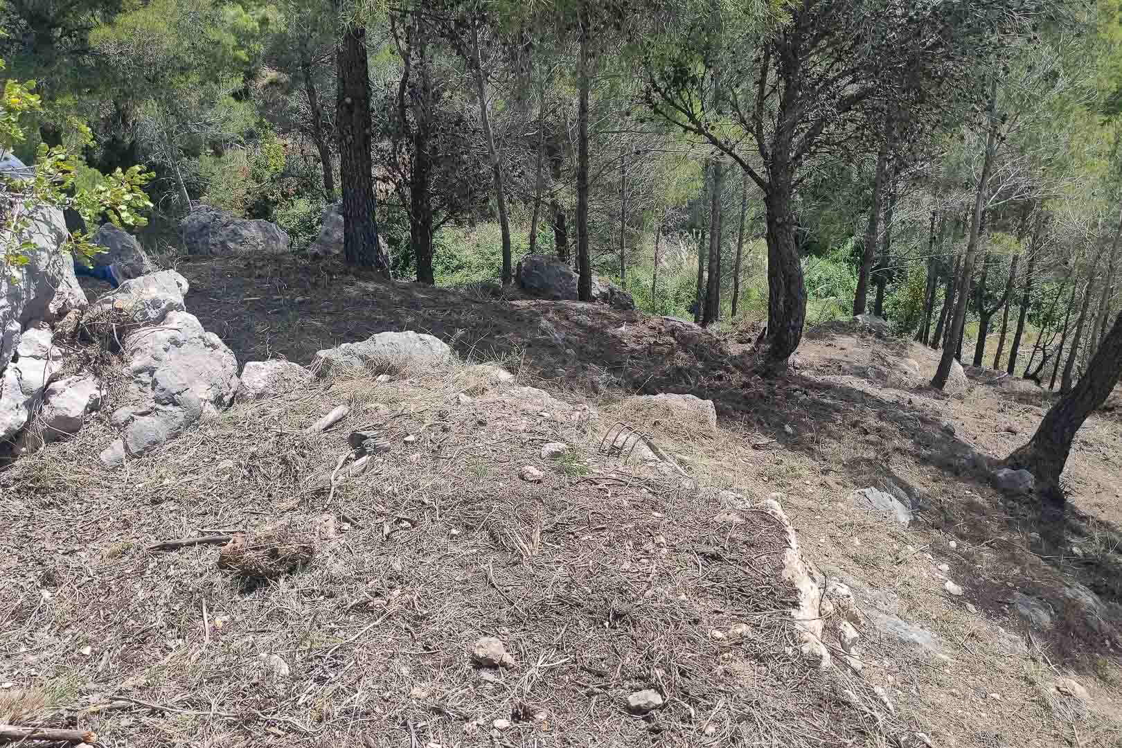 Terreno natural con pendiente pronunciada rodeado de pinos mediterráneos y rocas autóctonas en la parcela de la villa.