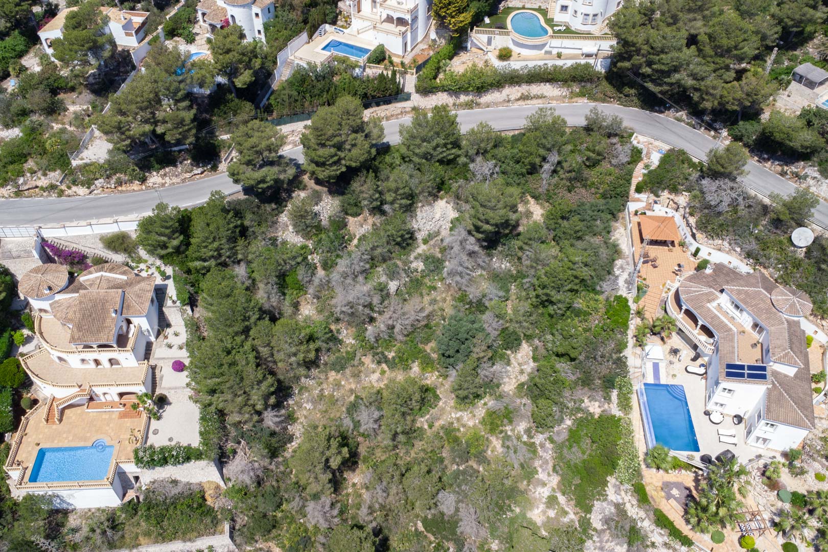 Vista aérea de la parcela inclinada en Costa Nova, rodeada de pinos mediterráneos y villas consolidadas con piscina, junto a una carretera asfaltada.
