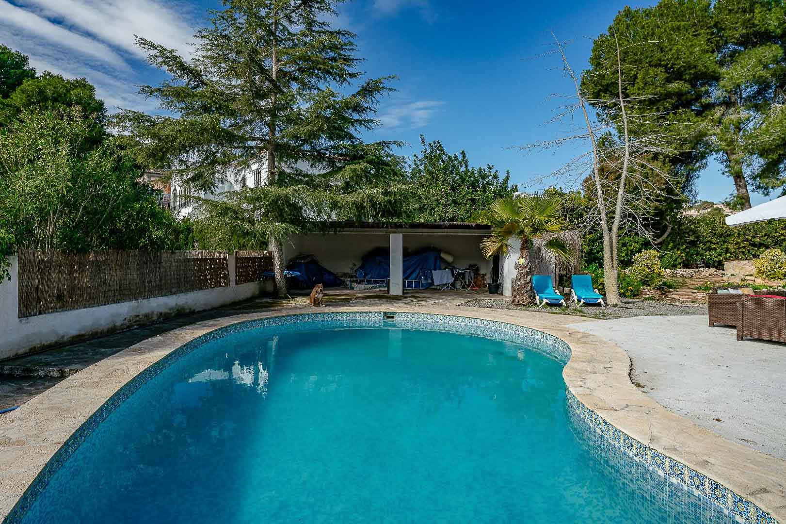 Piscina privada con revestimiento de mosaico azul y bordes de piedra natural, rodeada de un jardín maduro con pinos y palmeras en la zona de La Arnella.