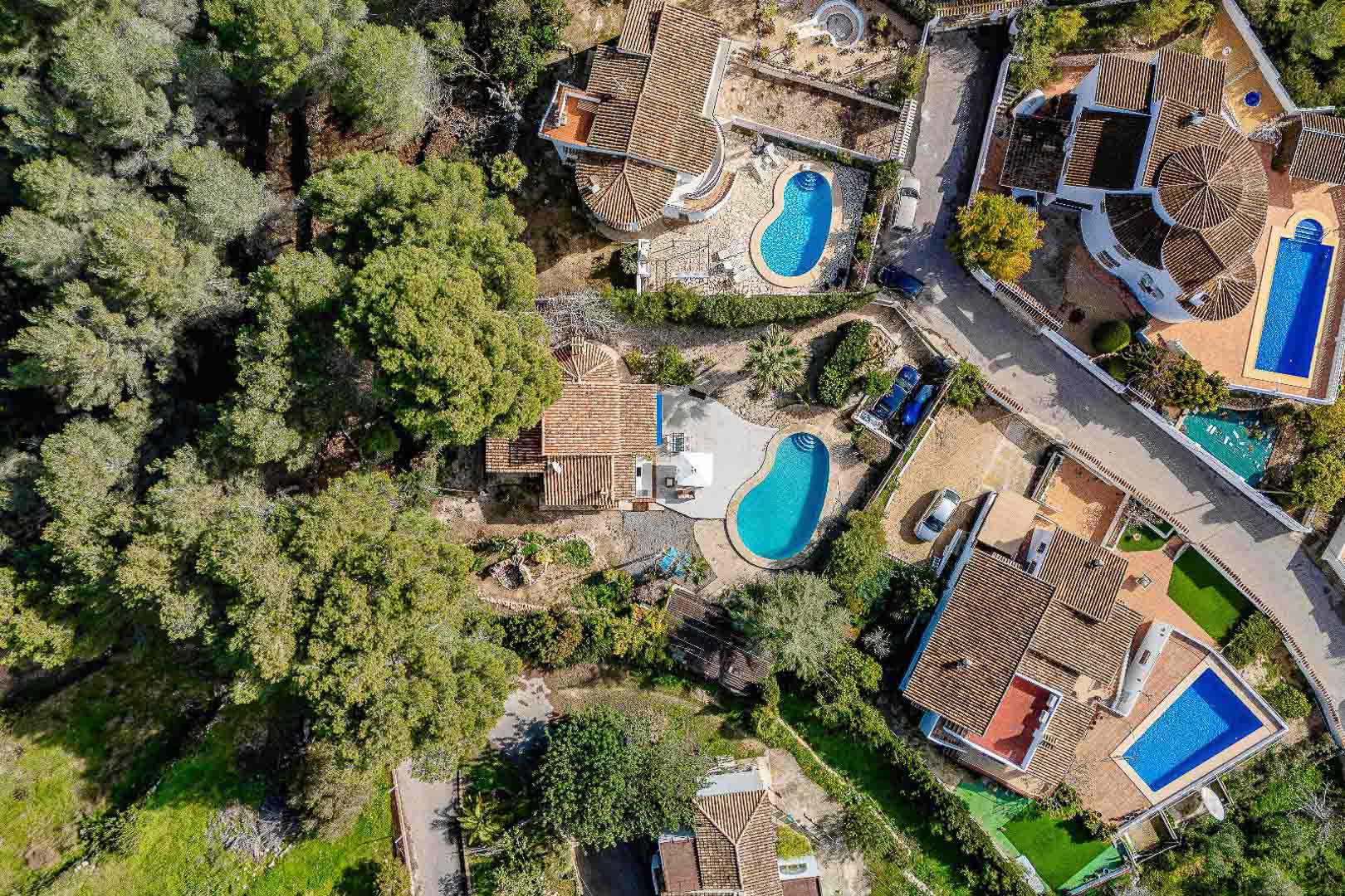 Vista aérea de la parcela con vegetación mediterránea, piscina privada en forma de riñón y arquitectura tradicional de teja cerámica.