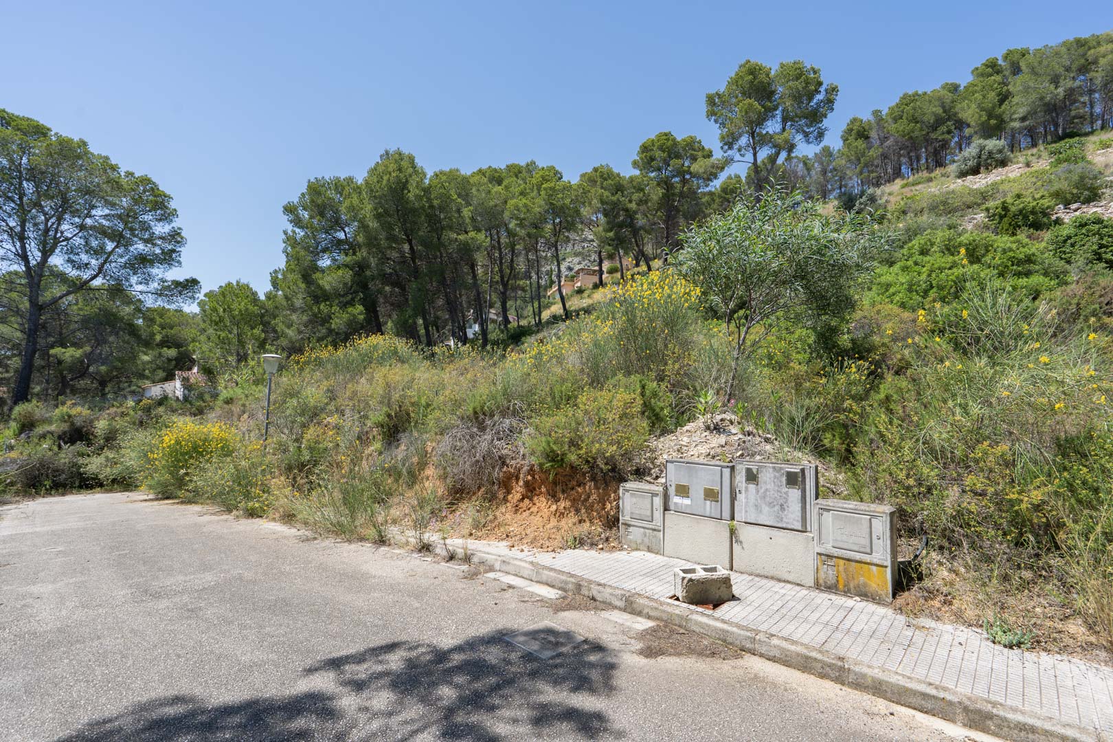 Parcela elevada en Alcalalí con acceso asfaltado y acometidas de servicios instaladas, rodeada de vegetación mediterránea y pinos bajo un cielo despejado.