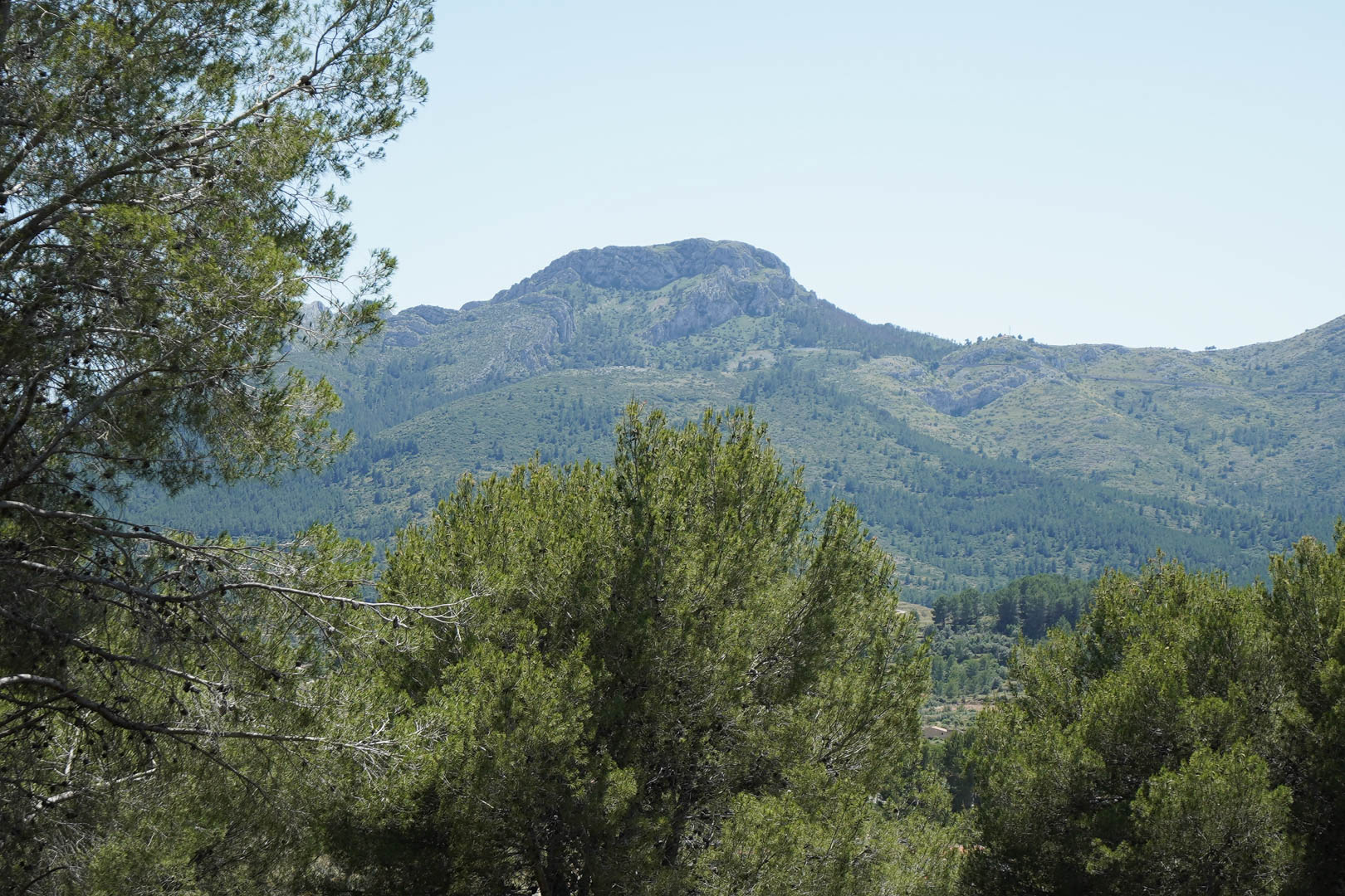 Vista panorámica de las montañas del valle de Jalón, destacando la vegetación mediterránea y los pinos que rodean la zona elevada de Alcalalí.