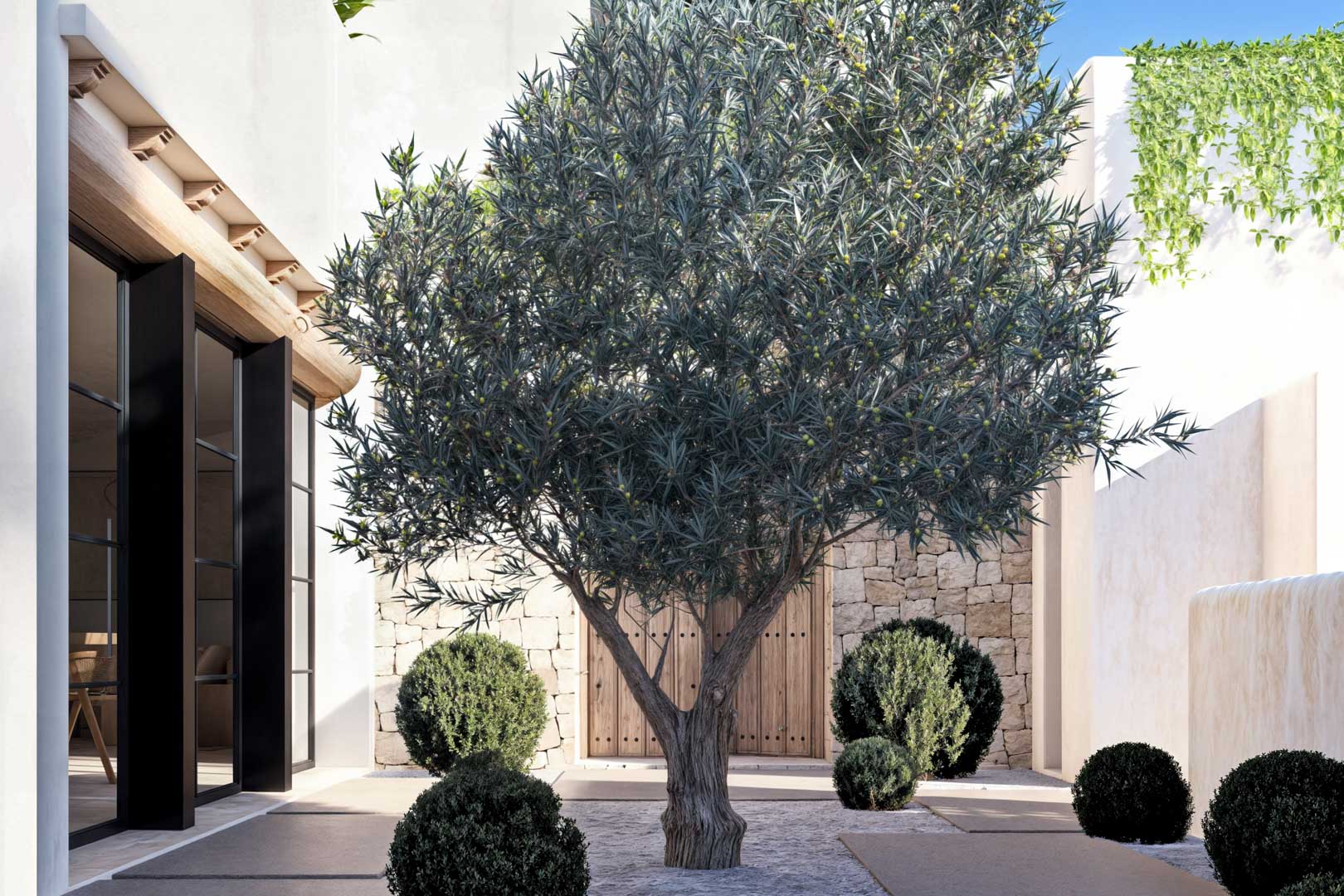 Patio con olivo, setos topiarios y puerta de madera rústica en muro de piedra.
