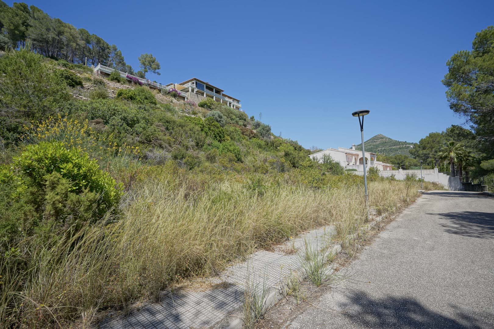 Vista de la calle de acceso y el entorno natural elevado en Alcalalí, mostrando la vegetación mediterránea y la ubicación estratégica de las parcelas.