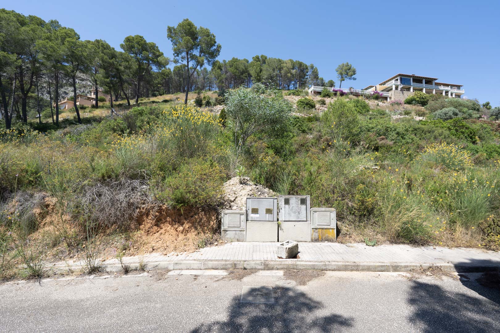 Vista de una parcela elevada en Alcalalí con infraestructuras de suministros ya instaladas, rodeada de pinos y vegetación autóctona del valle.