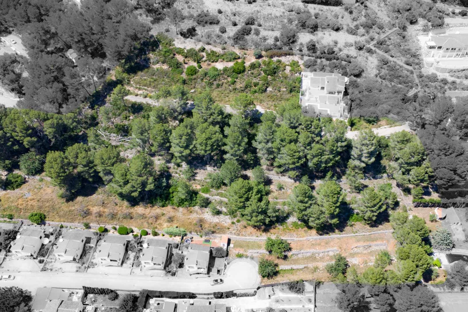 Vista aérea del terreno elevado en Alcalalí, mostrando la densa vegetación de pinos y las parcelas abancaladas donde se ubicará el Residencial VALL DE POP.