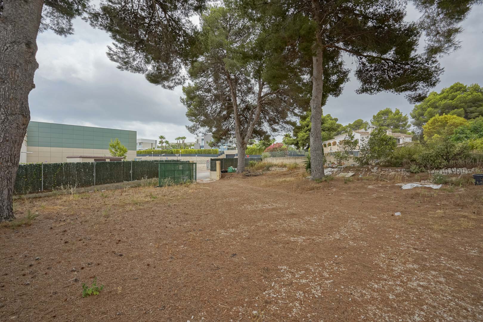 Parcela llana de gran extensión con pinos maduros, delimitada por vallado perimetral y situada en una zona residencial consolidada cerca de servicios.