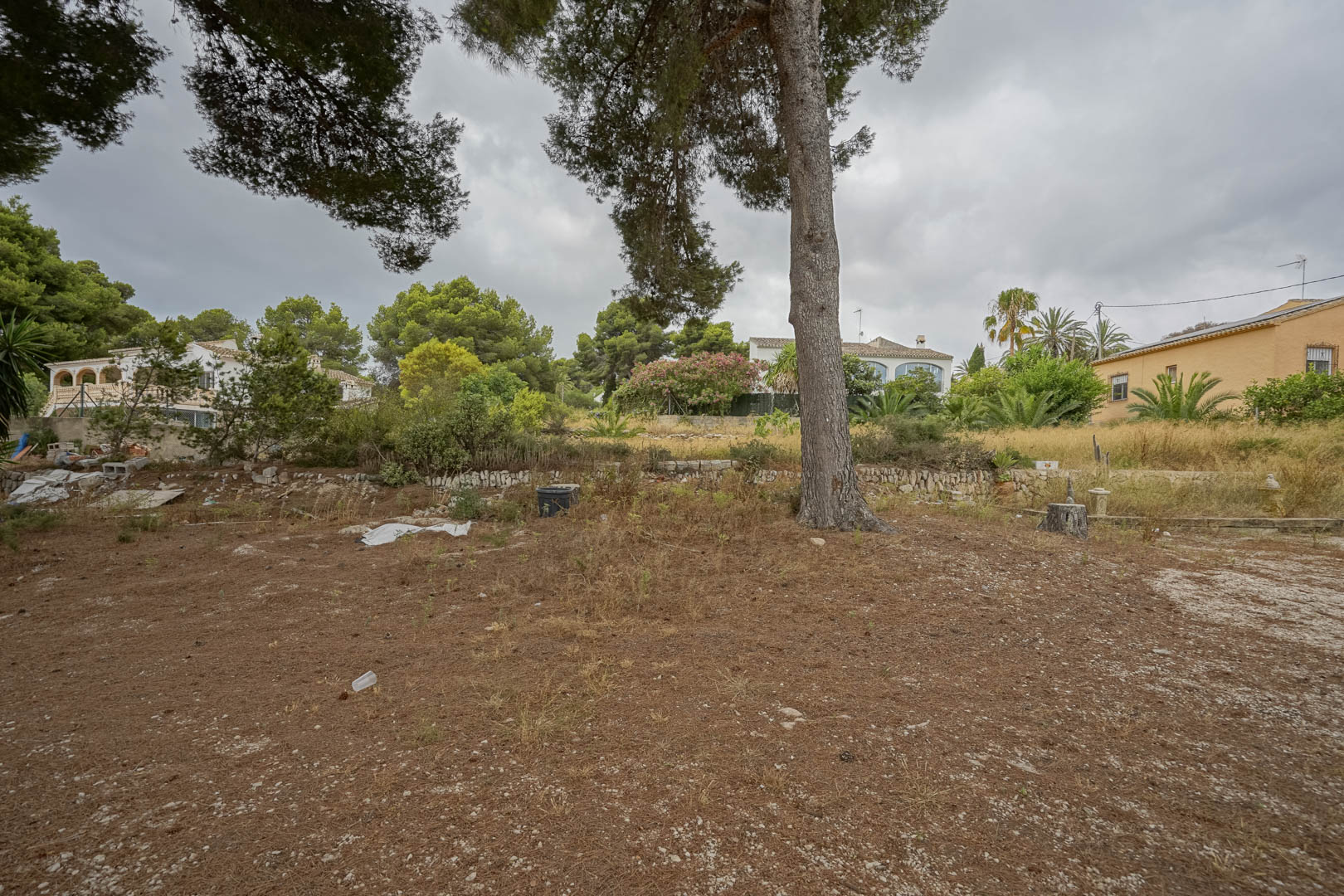 Vista de la amplia parcela llana con pinos maduros y muretes de piedra natural, rodeada de vegetación mediterránea y viviendas.