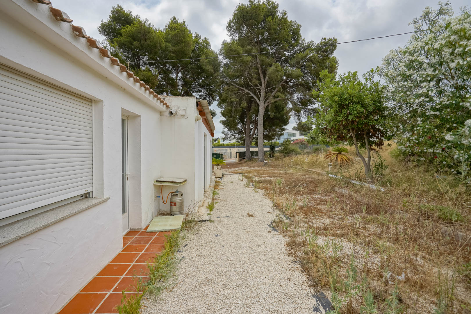 Vista exterior de la vivienda actual con fachada blanca, persianas enrollables y camino de grava, rodeada de una amplia parcela con pinos maduros.