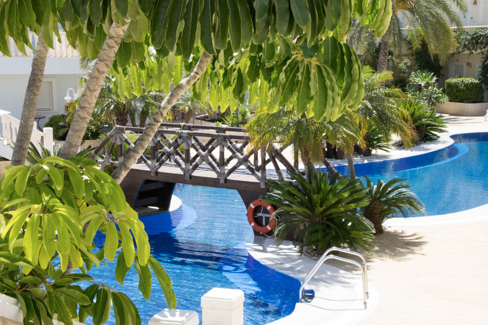 Piscina tipo laguna con puente de madera decorativo, rodeada de vegetación tropical y palmeras en el jardín comunitario del complejo.