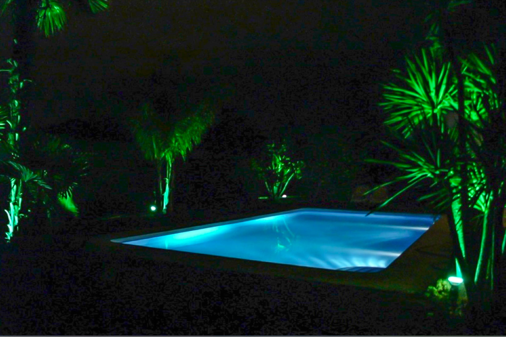 Piscina exterior iluminada con focos subacuáticos azules y vegetación mediterránea resaltada por proyectores verdes en un entorno nocturno privado.