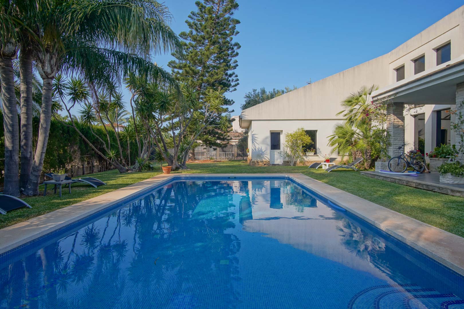 Piscina rectangular con gresite azul rodeada de césped natural y un jardín mediterráneo con palmeras y pinos frente a la fachada blanca de la villa.