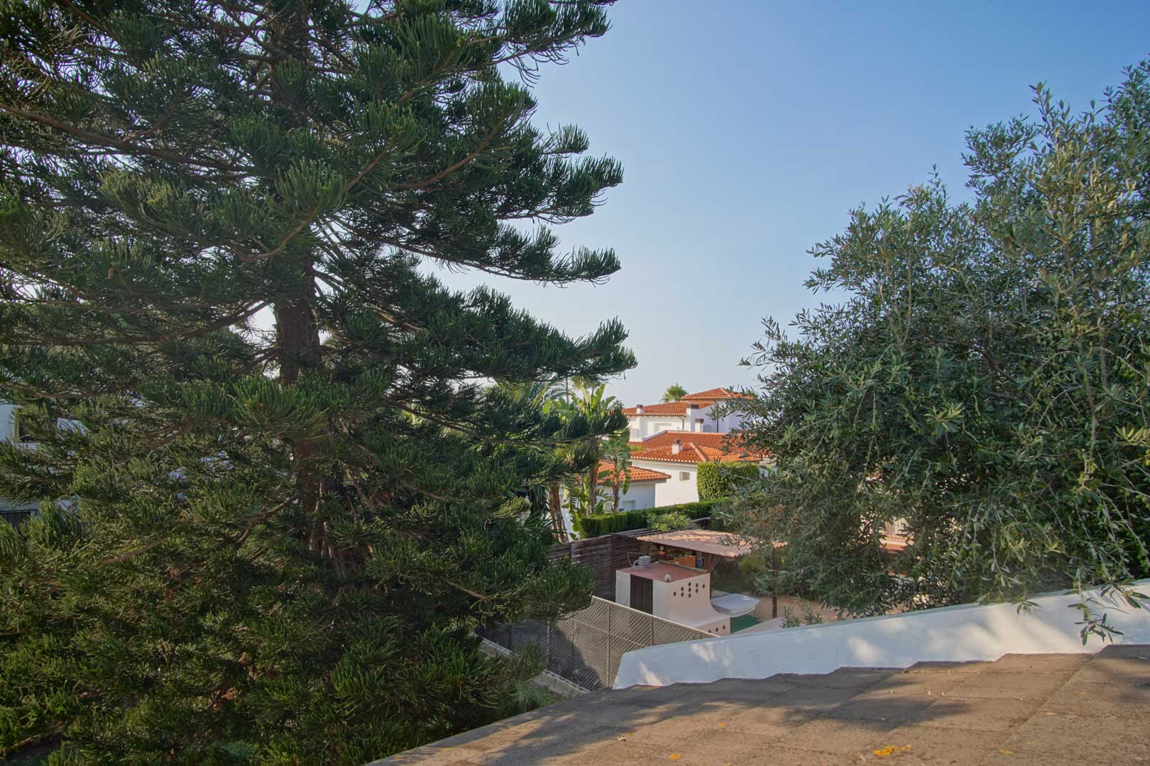 Vista elevada desde la terraza que muestra la vegetación mediterránea madura y los tejados de las villas circundantes bajo un cielo despejado.