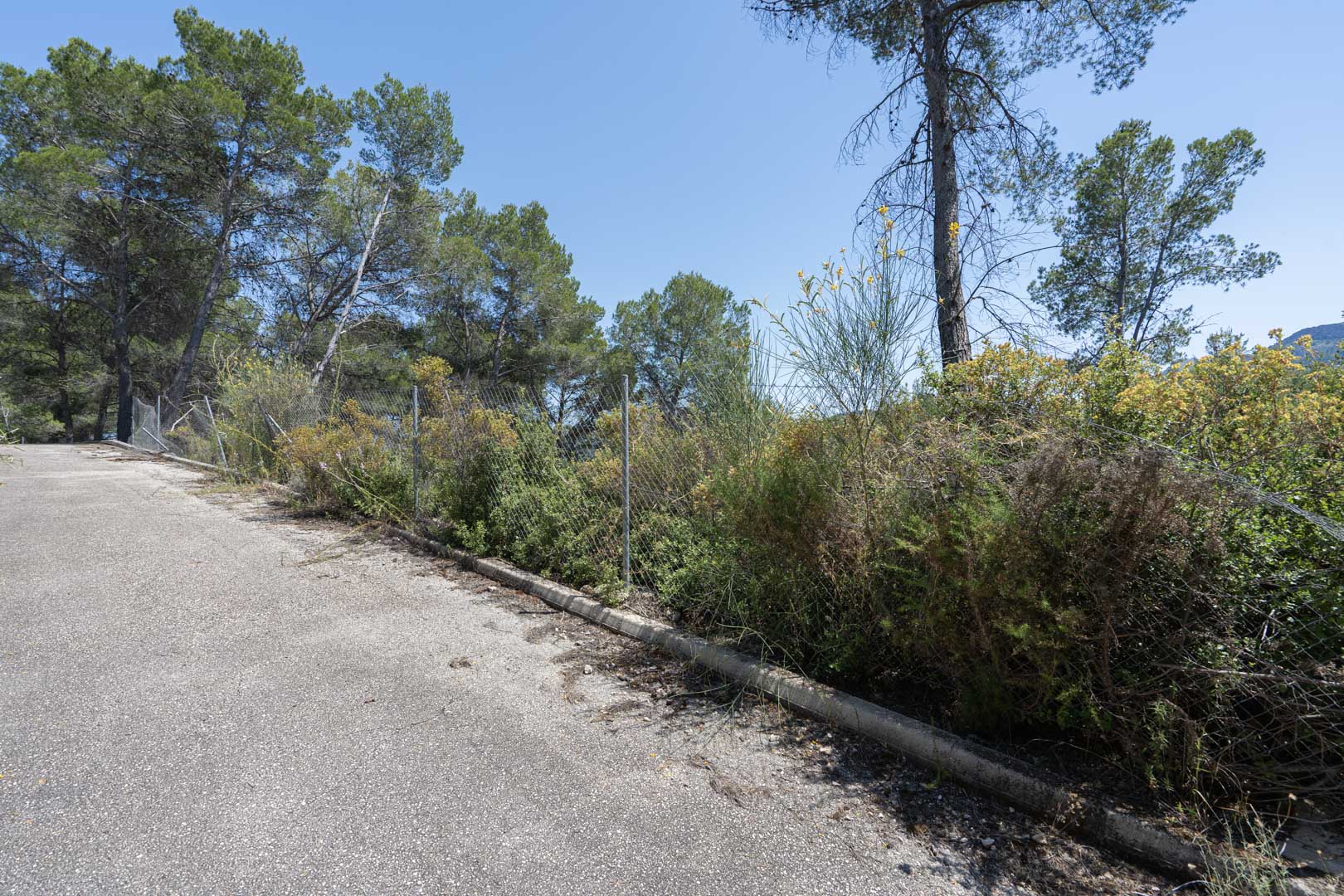 Acceso pavimentado a las parcelas del Residencial VALL DE POP, delimitado por vallado perimetral y rodeado de pinos y vegetación autóctona mediterránea.