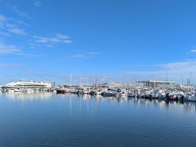 Vista del puerto deportivo de Denia con múltiples embarcaciones y reflejos en el agua bajo un cielo azul.