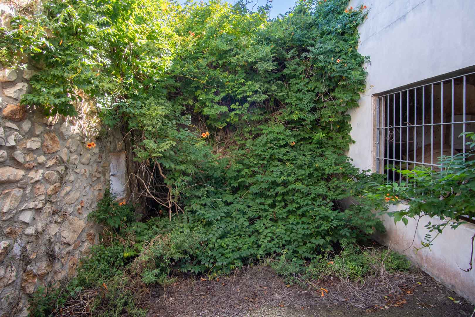 Fachada exterior que combina muros de piedra natural con paredes enlucidas, destacando una ventana con rejas de seguridad y abundante vegetación trepadora.