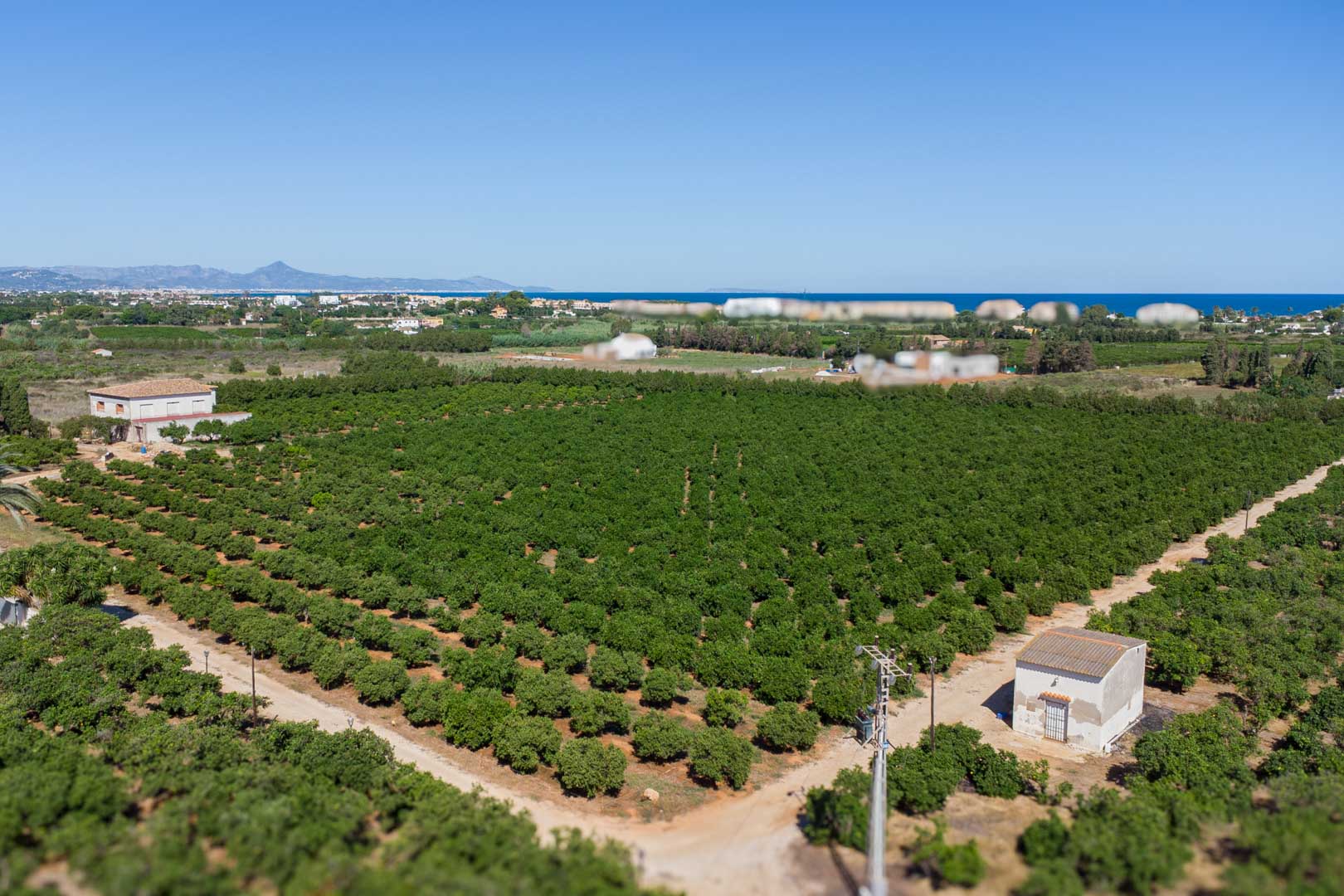 Vista aérea de la extensa parcela agrícola con cultivos de cítricos, mostrando la casa de campo y el mar Mediterráneo en el horizonte de Dénia.