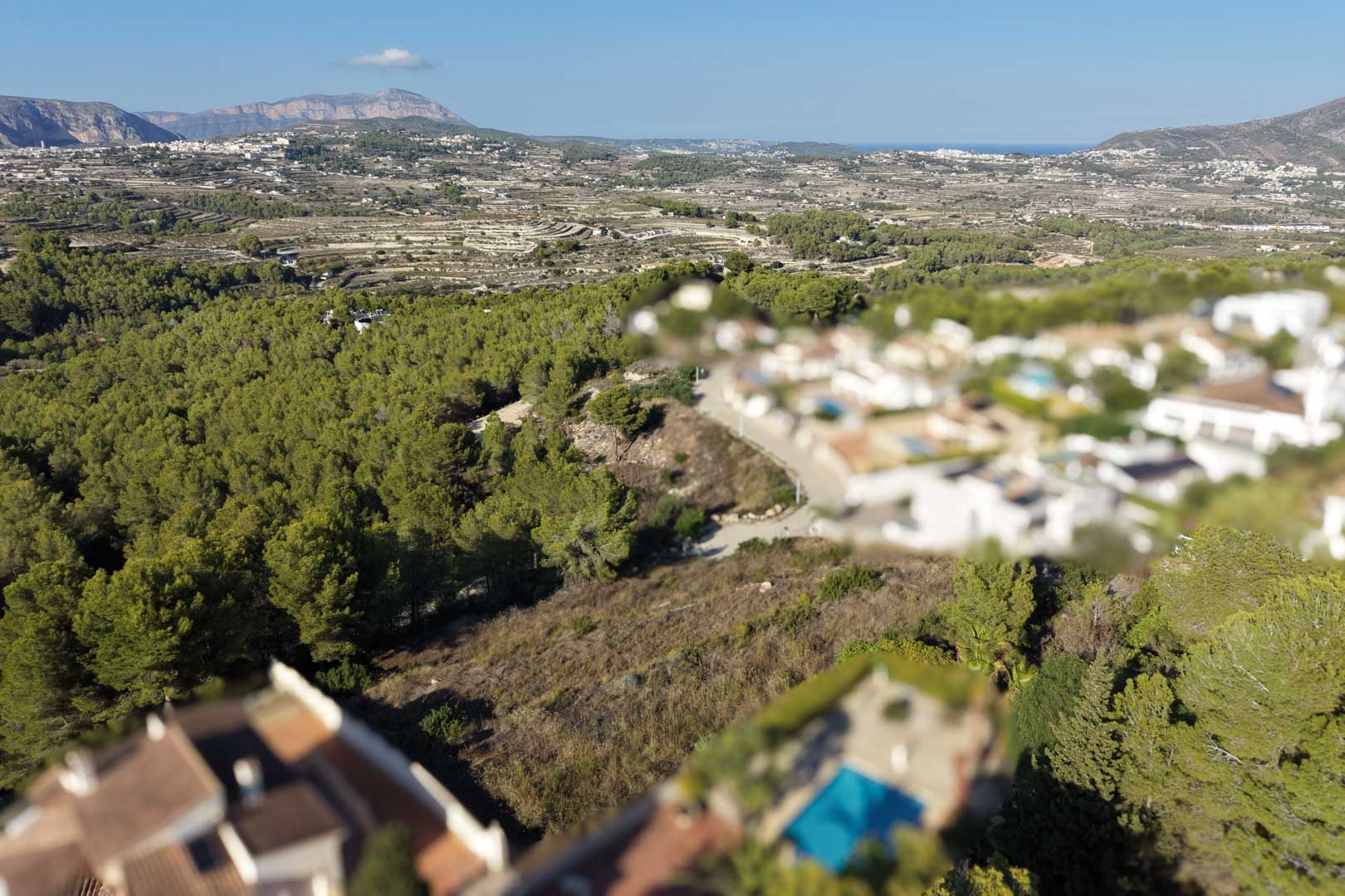 Vista aérea panorámica que muestra la topografía de la parcela rodeada de pinos, con vistas despejadas hacia el valle y las montañas bajo un cielo despejado.