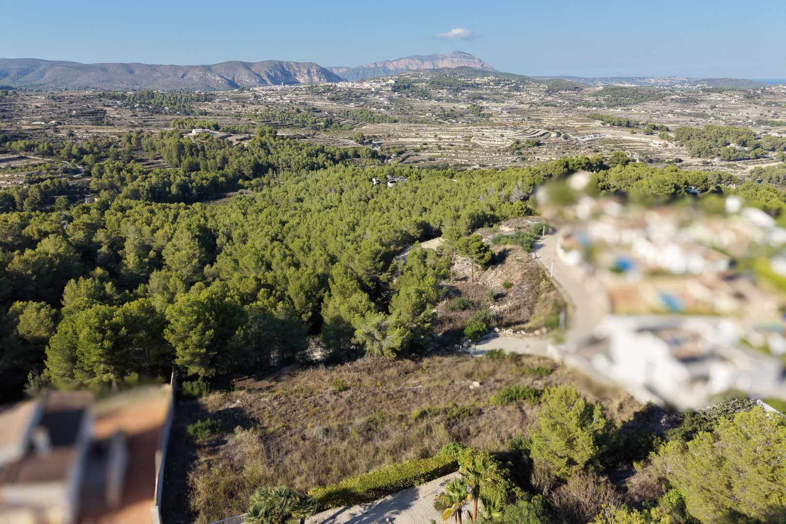 Vista elevada de la parcela urbana rodeada de un frondoso pinar mediterráneo, con vistas abiertas hacia el valle y las montañas en el horizonte.
