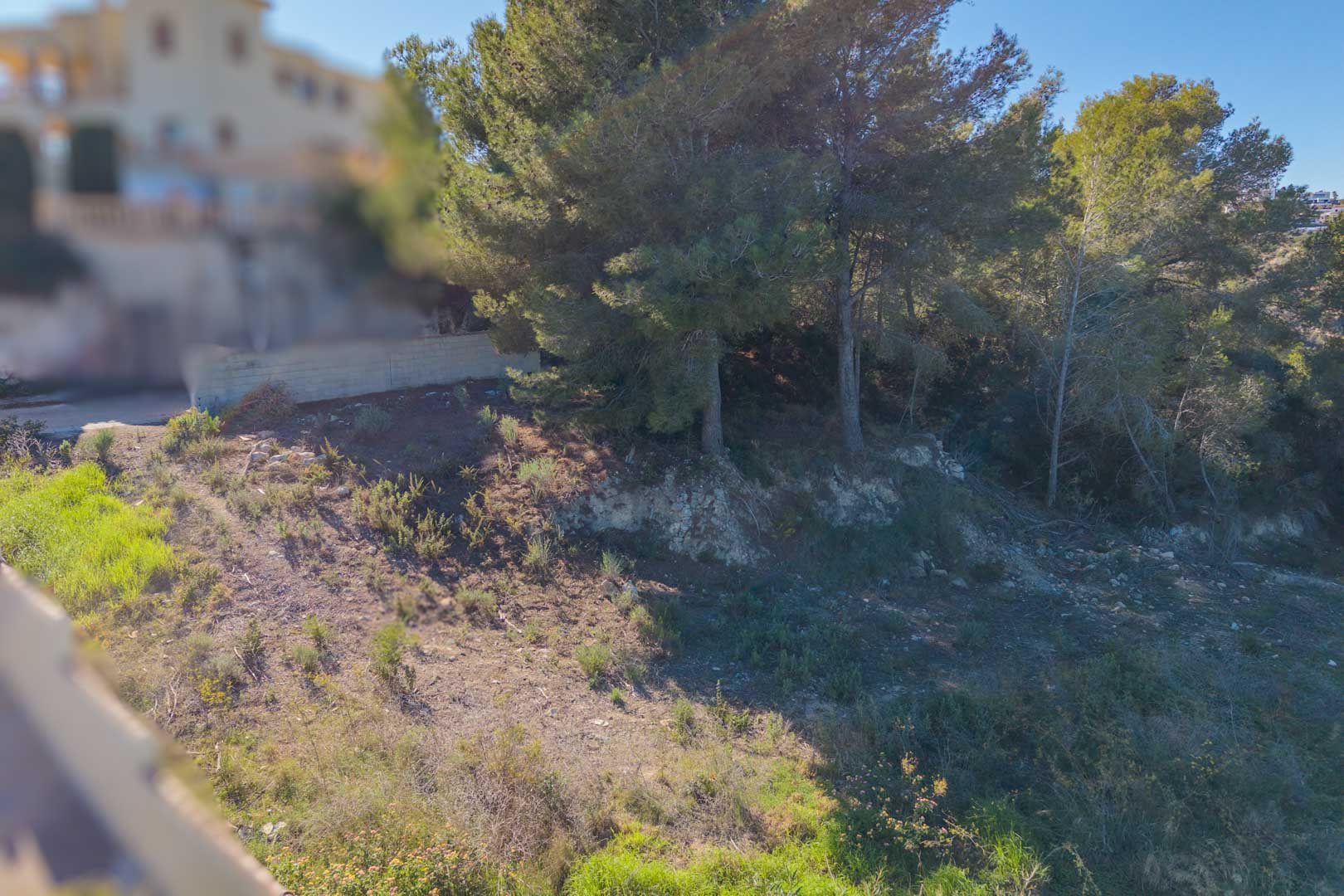 Parcela urbana con pendiente natural y vegetación autóctona, incluyendo pinos maduros y arbustos, situada en una zona residencial consolidada de Moraira.