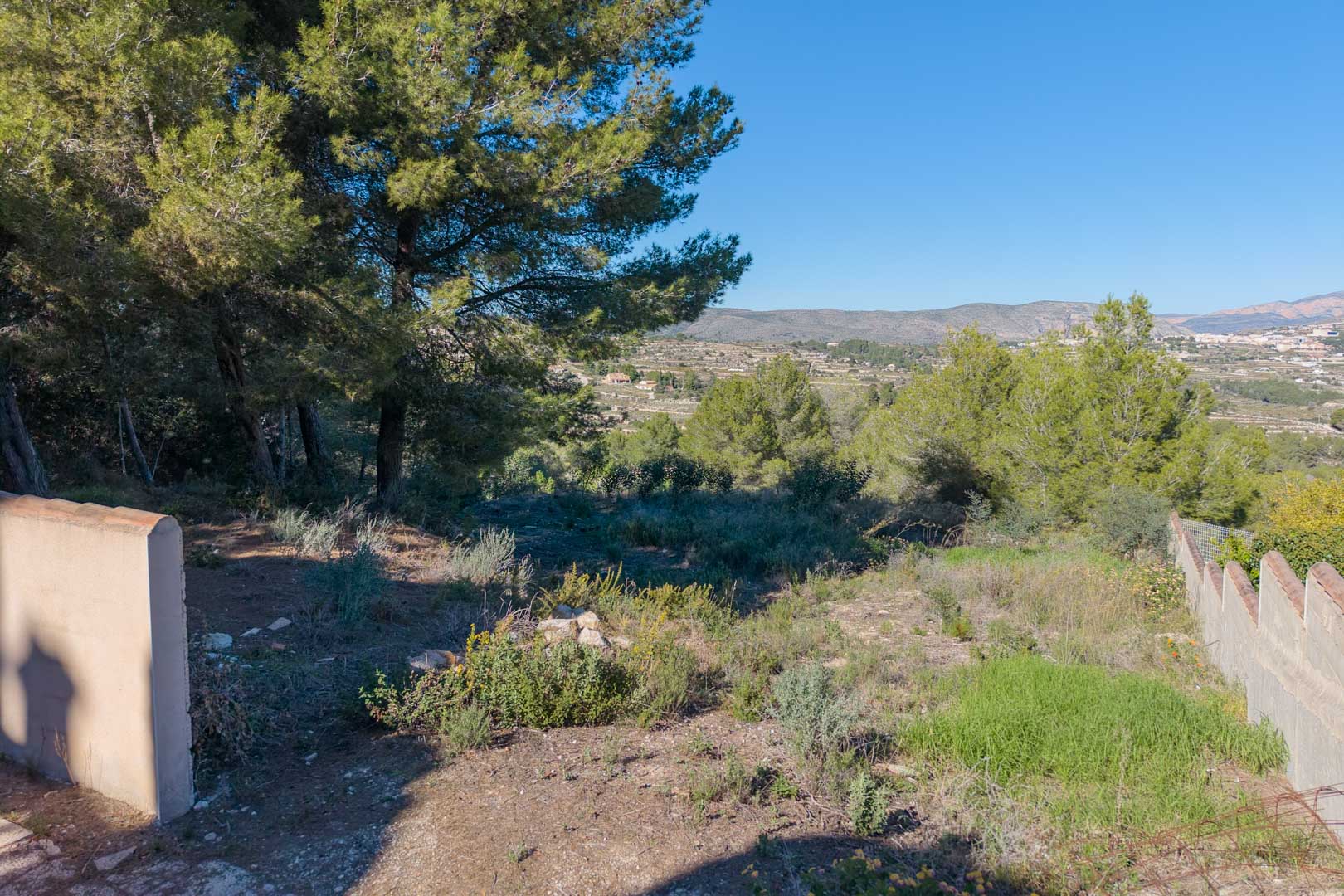 Parcela urbana con pinos maduros y vistas despejadas al valle y las montañas. El terreno presenta una topografía natural delimitada por muros perimetrales.