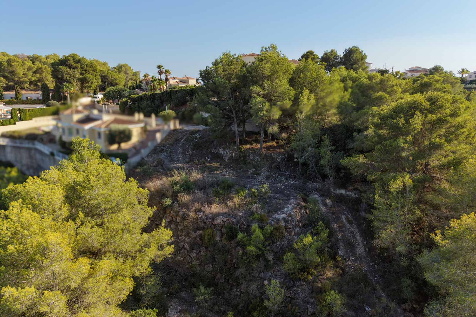 Parcela urbana elevada en Moraira con muros de piedra natural, rodeada de pinos maduros y vegetación mediterránea bajo un cielo despejado.