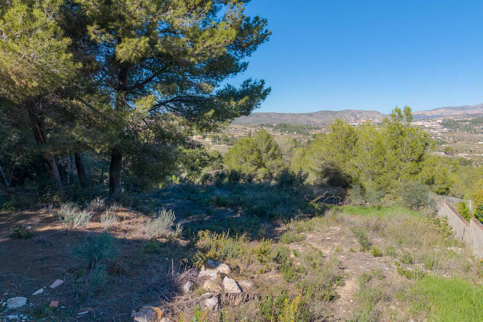 Parcela urbana en Benimeit con pinos maduros y vistas despejadas al valle y las montañas. Terreno natural con vegetación autóctona bajo un cielo despejado.